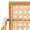 Braya Rattan Accent Chair