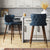 Caralie Upholstered Counter Stool (Set of 2)