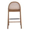 Emington Modern Stools with Rattan Backrests and Wood Frame (Set of 2)