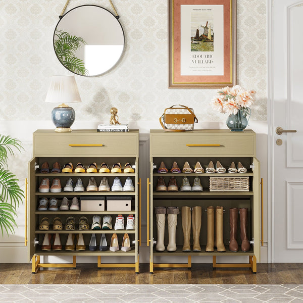 Modern Shoe Cabinet with a Drawer and 5 Adjustable Shelves