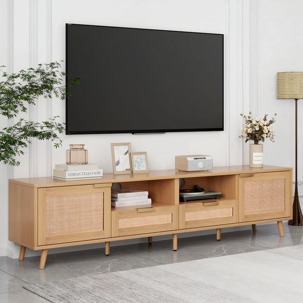 Andrei TV Unit