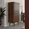 Alena dark mango wood cabinet