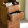 Remick mango wood chest of drawers