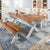 Ellora 6 Seater Dining Set