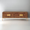 Cari TV Unit