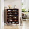 Freestanding Shoe Storage Cabinet with 2-Door and Adjustable Shelves for Entryway Living Room Bedroom