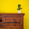 Roslin TV Unit