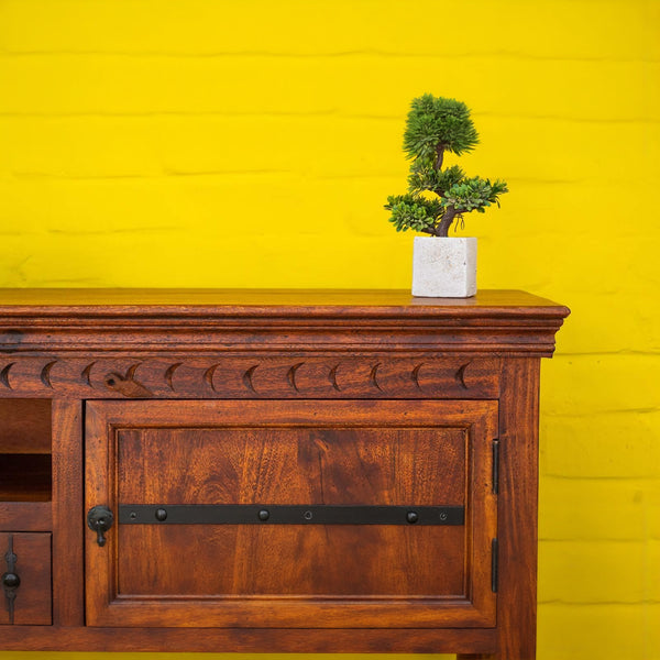 Roslin TV Unit