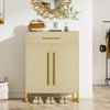 Modern Shoe Cabinet with a Drawer and 5 Adjustable Shelves