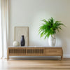 Dimitrios TV Unit