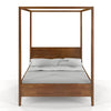 Preyas Mango wood Teak Finish Wooden Bed #17 - Duraster 